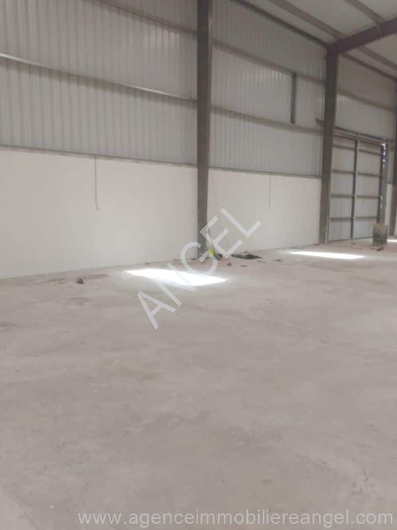 Grand hangar 2200m² à louer à Diamniadio