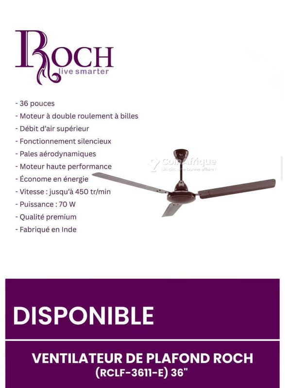 Ventilateur plafonnier Roch puissant et silencieux